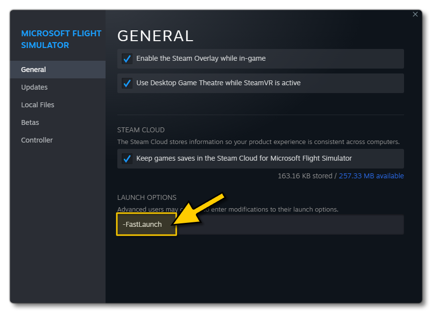 Setting Steam To Use The Fast Launch Parameter