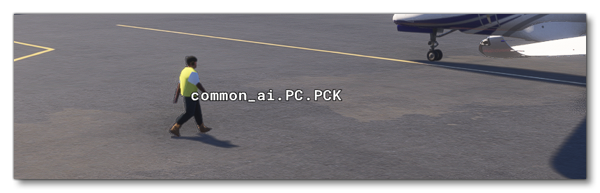 The Debug Sound Packages Display In The Simulation