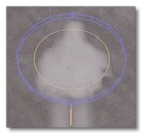 The Central Zone Marking