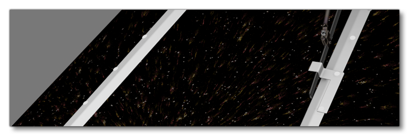 The Insects Albedo Debug View