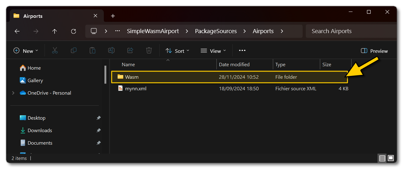 Placing The WASM Folder In The Airport Package