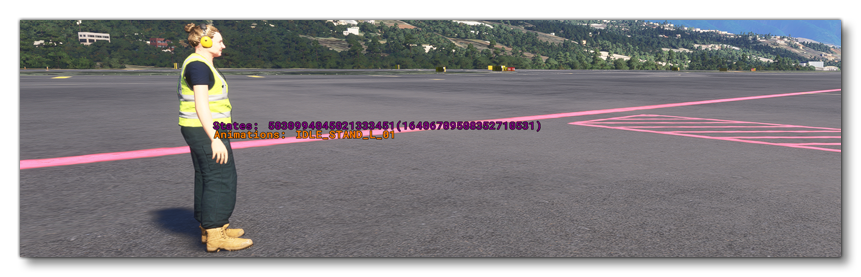 The Debug SimObject Animations Information