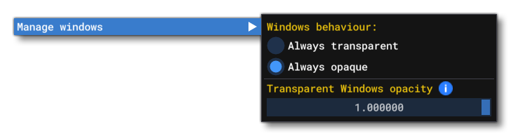 The Windows Behaviour Options