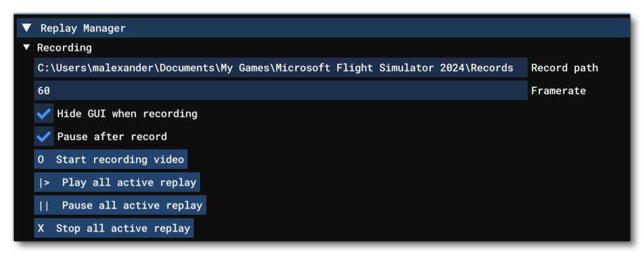 The Replay Manager Record Section