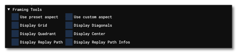 The Framing Sub-Section Of The Replay Manager