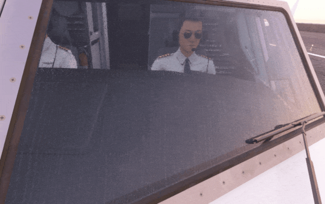 Example Of A Correctly Setup And Applied Wiper Mask In The Simulation