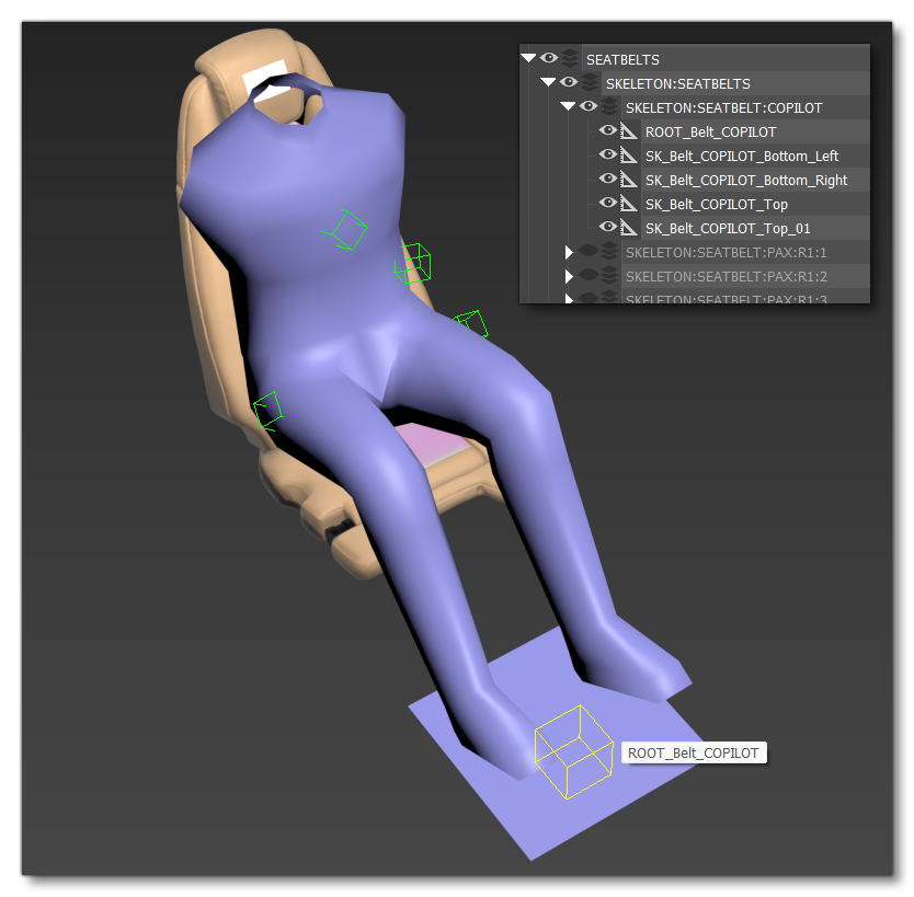 The Seatbelt Bone Heirarchy And Root