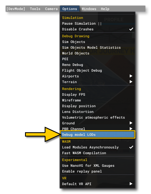 The Debug Model LODs Option