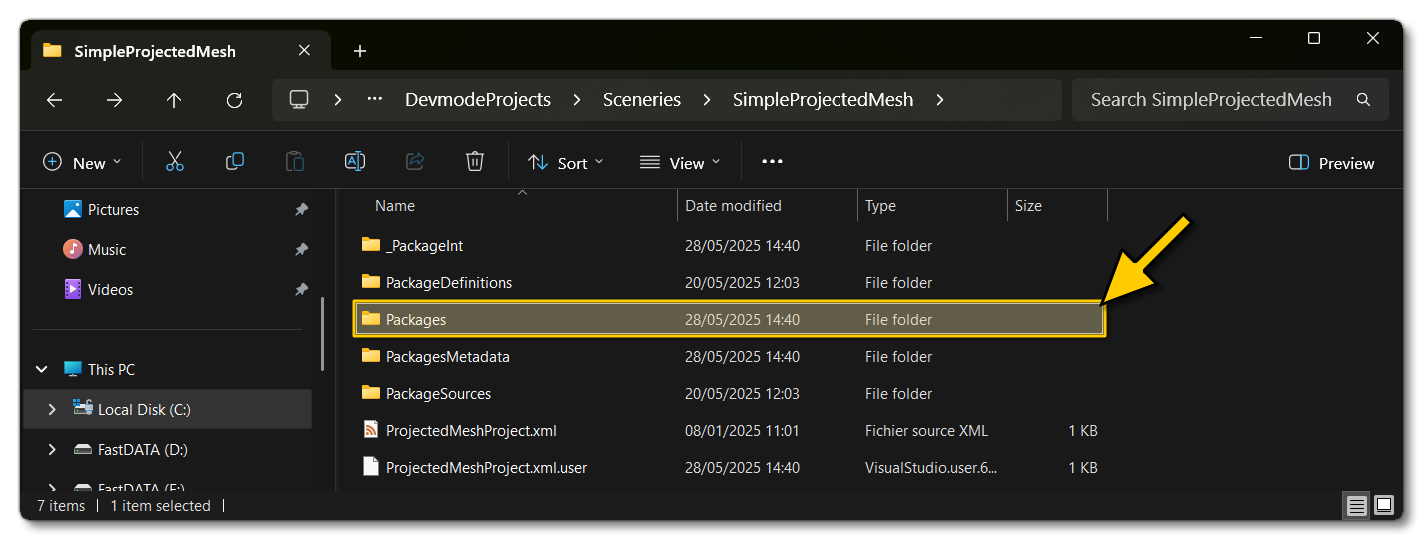 The Packages Folder For The Projected Mesh Sample