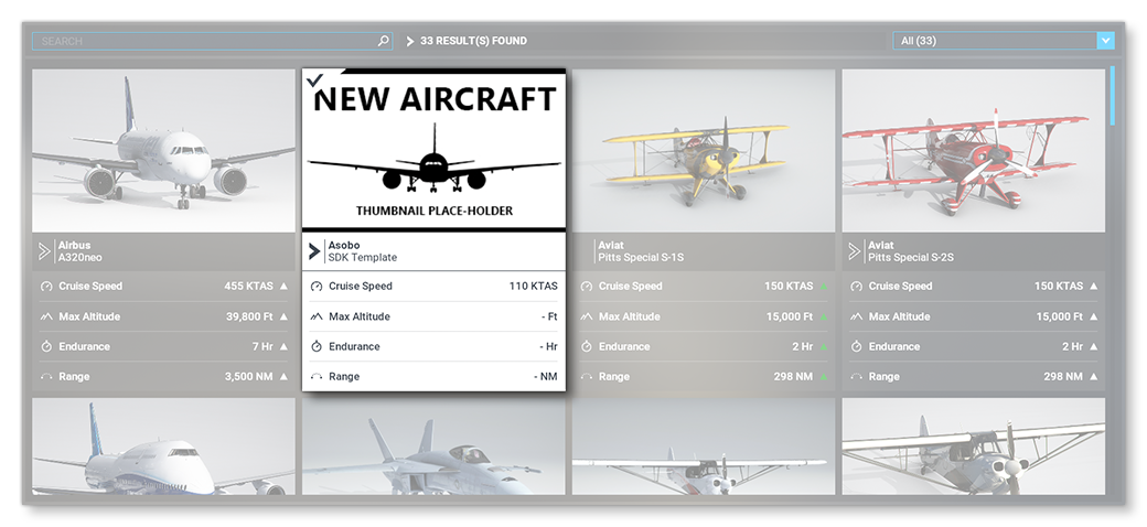 The New Aircraft In The Hangar