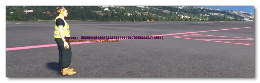 The Debug SimObject Animations Information