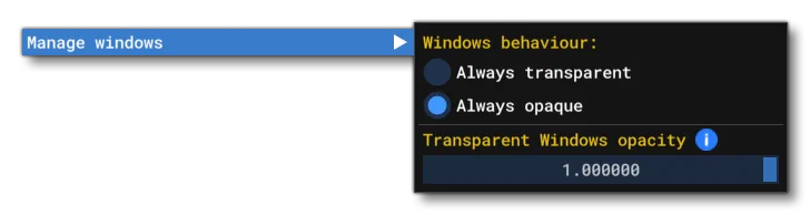 The Windows Behaviour Options