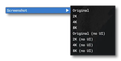 The Screenshot Options In The Tools Menu