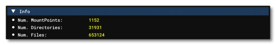 The Virtual File System Information Section