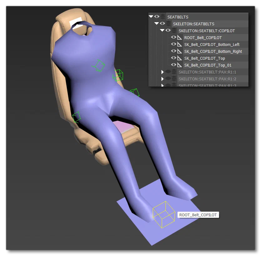 The Seatbelt Bone Heirarchy And Root