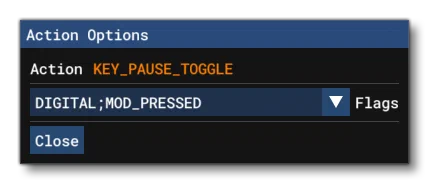 The Action Options Window