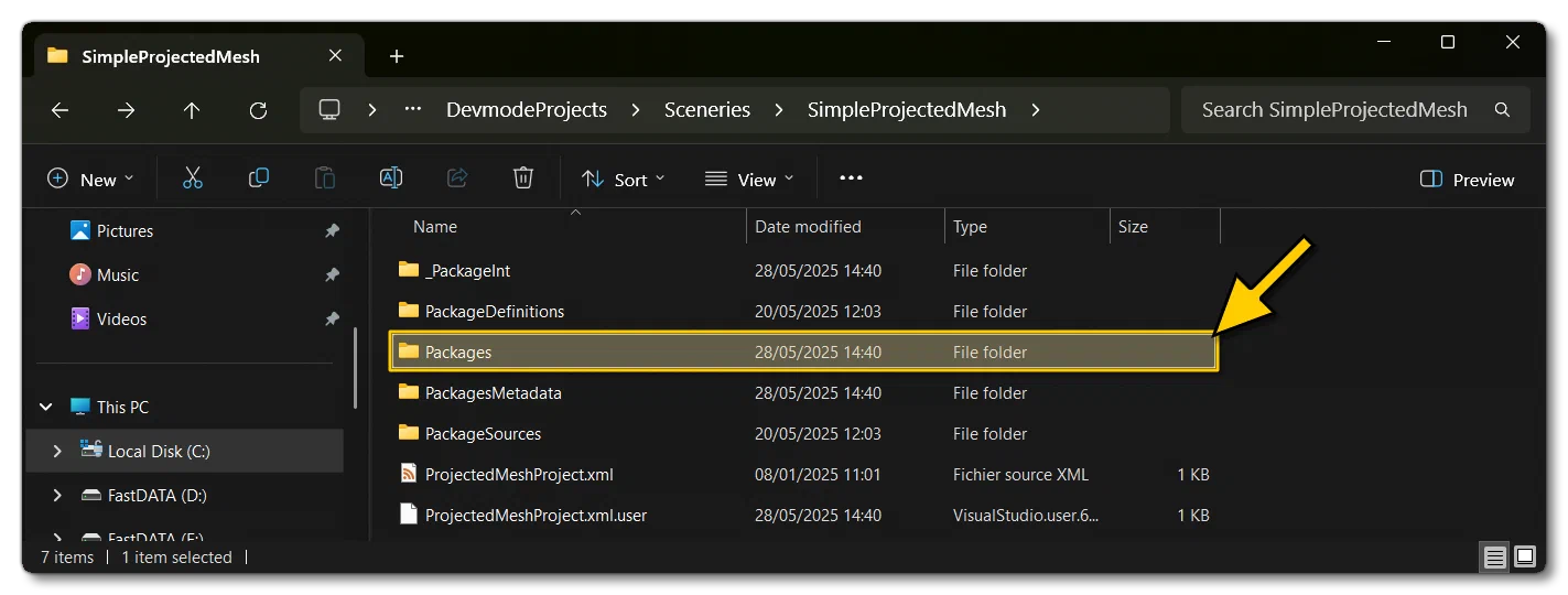 The Packages Folder For The Projected Mesh Sample