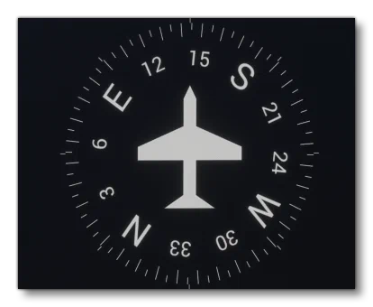 The Compass Gauge In The Simulation