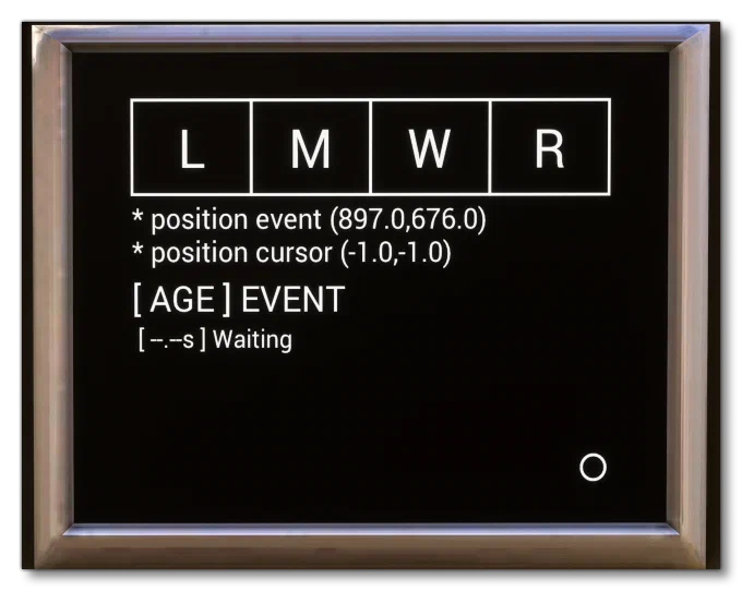 The Information Gauge In The Simulation