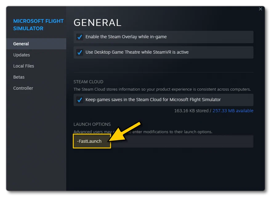 Setting Steam To Use The Fast Launch Parameter